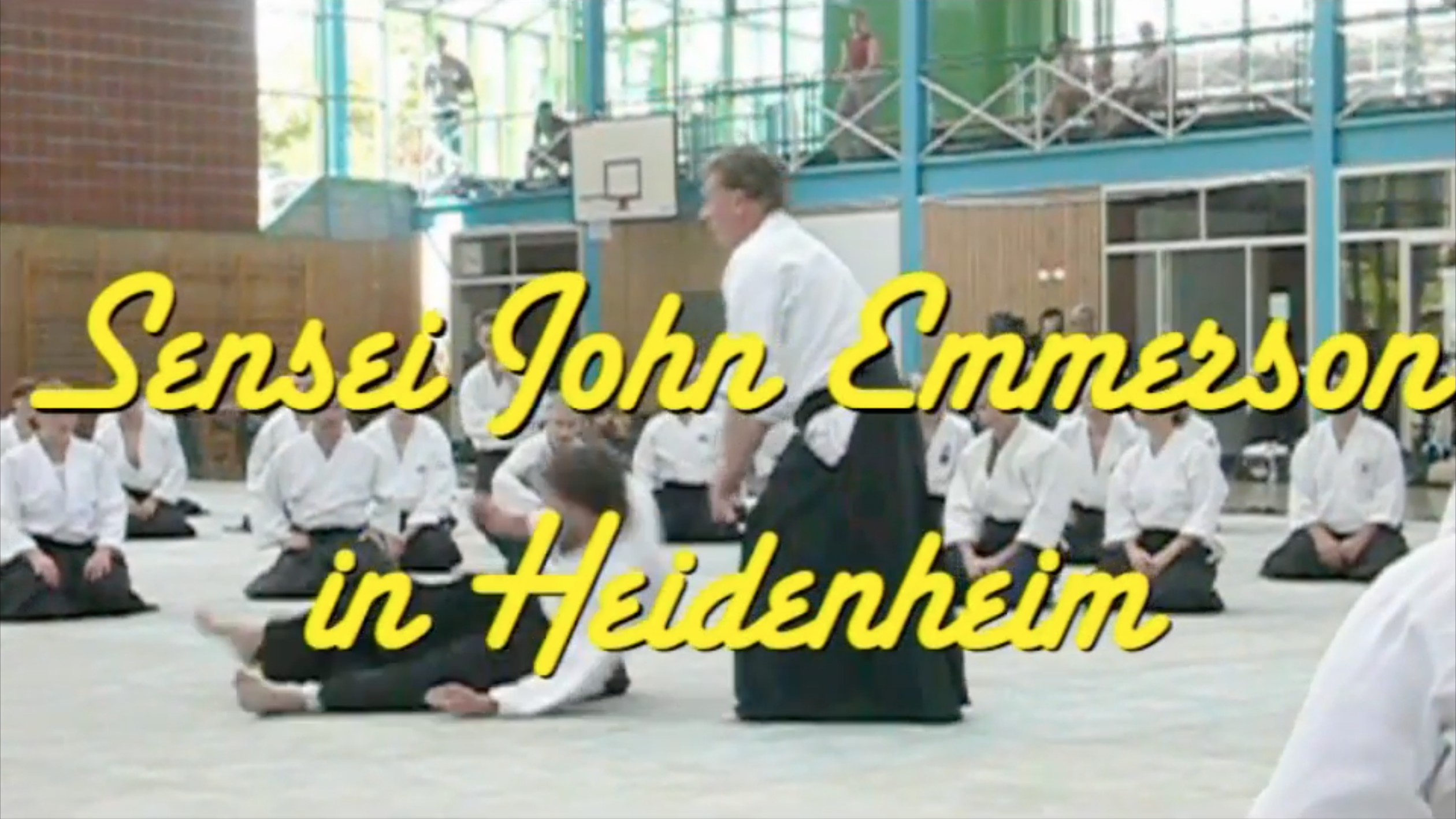 John Emmerson Sensei in Heidenheim (2008)